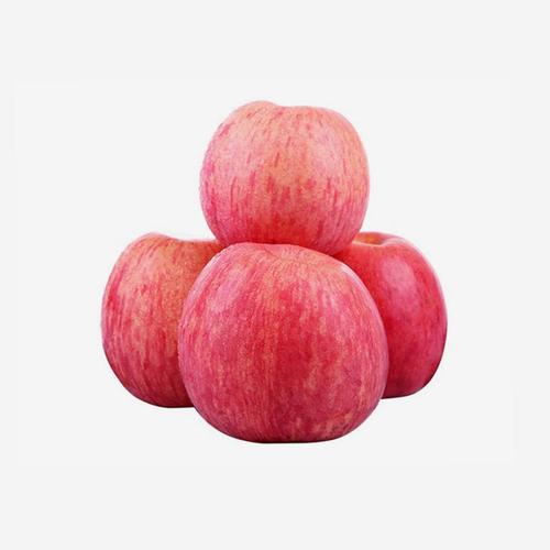 普寧蔬菜批發(fā)配送電話地址